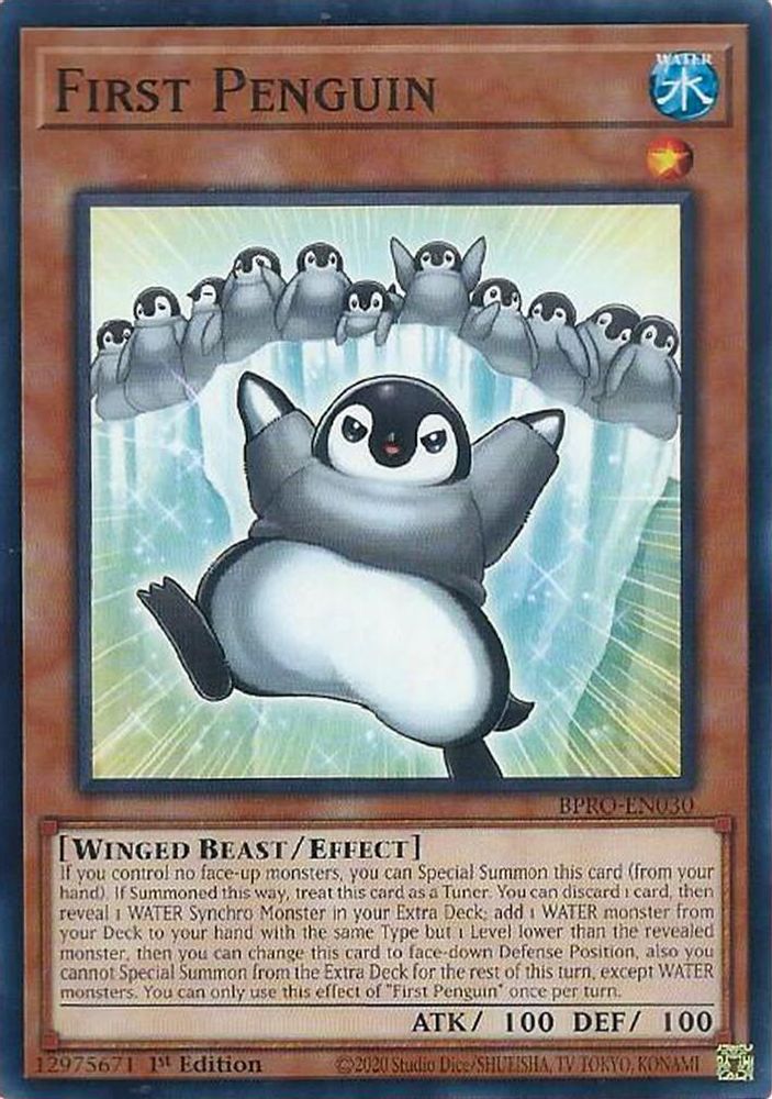 BPRO-EN030 * First Penguin * Common * Burst Protocol