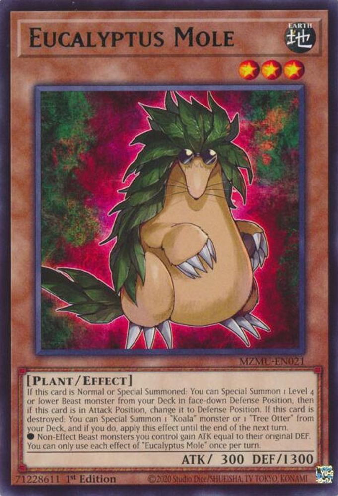 Eucalyptus Mole * Rare * MZMU-EN021