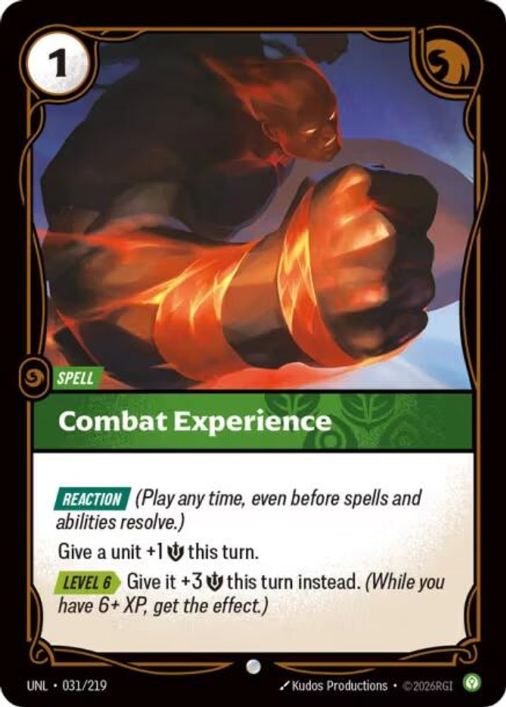 031/219 - Combat Experience (Foil) - Common - Unleashed