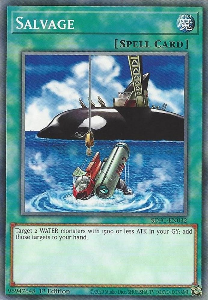 Salvage * Common * SDFC-EN032