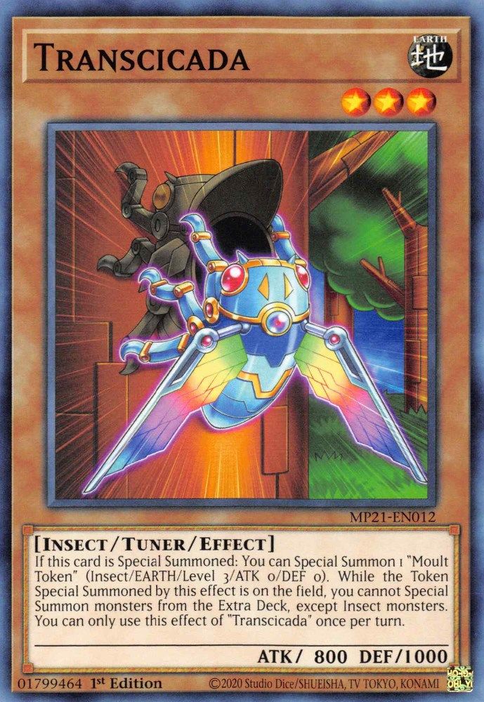 Transcicada * Common * MP21-EN012