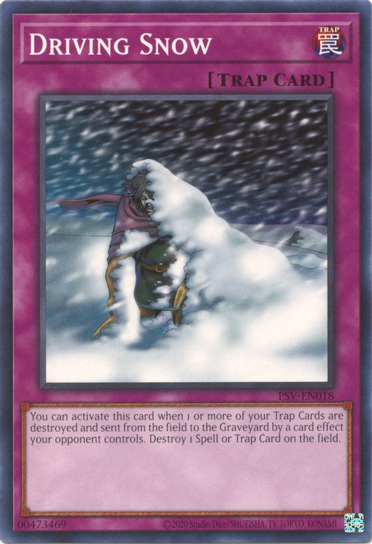 Driving Snow * Common * PSV-EN018